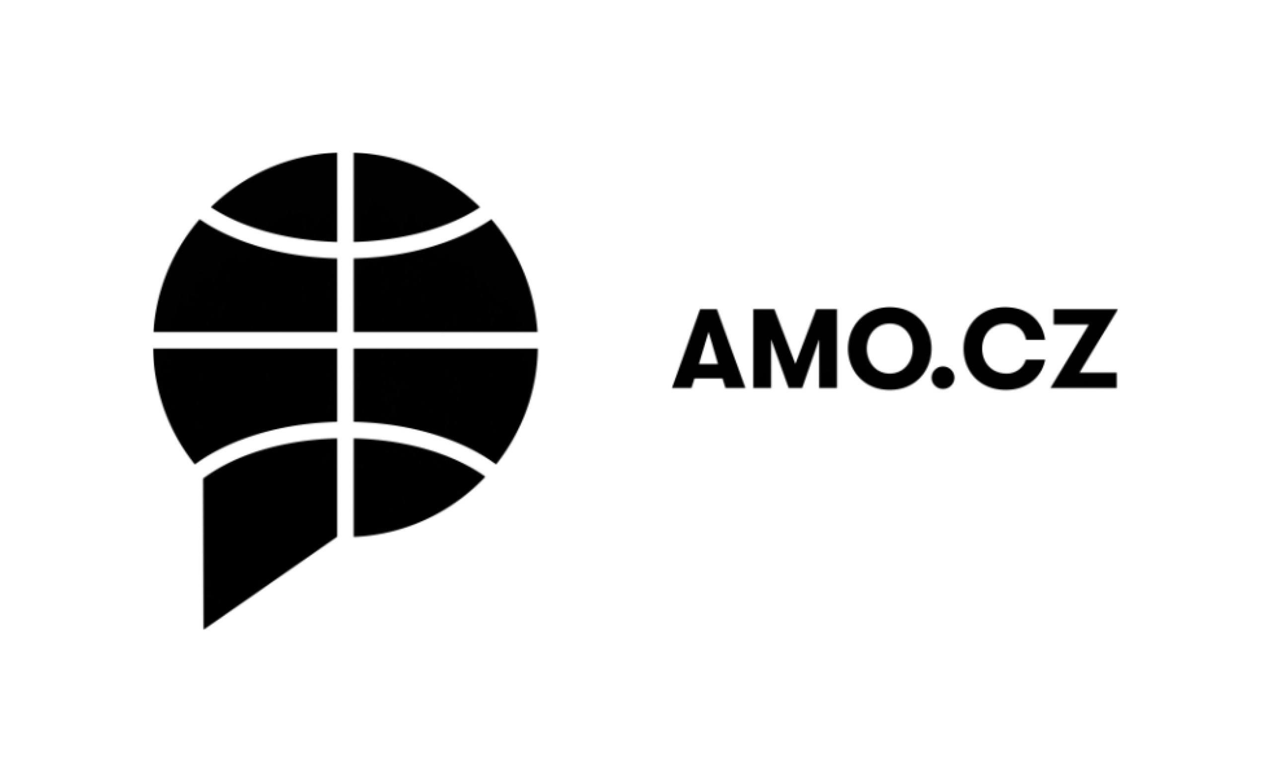 Asociace pro mezinárodní otázky