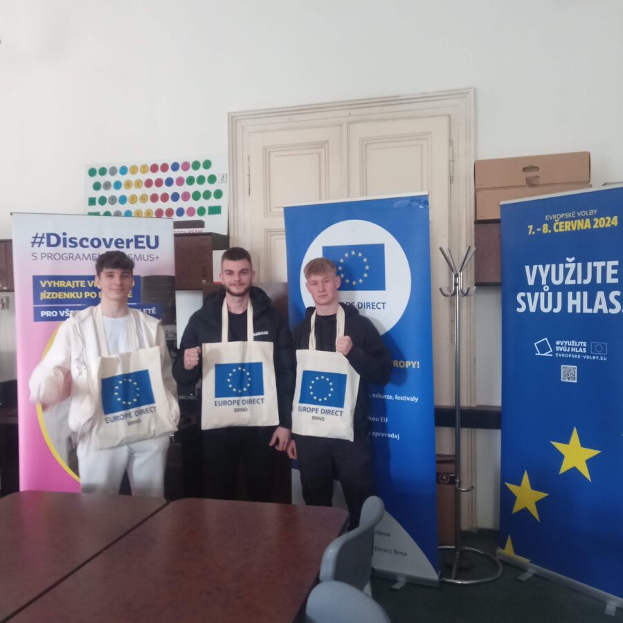 Politická uskupení v EU